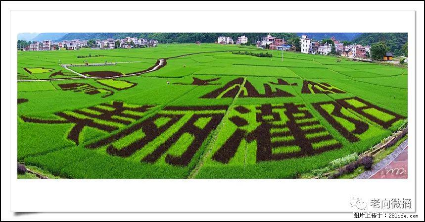 【春天,广西桂林灌阳县向您发出邀请!】开篇 - 游山玩水 - 那曲生活社区 - 那曲28生活网 nq.28life.com