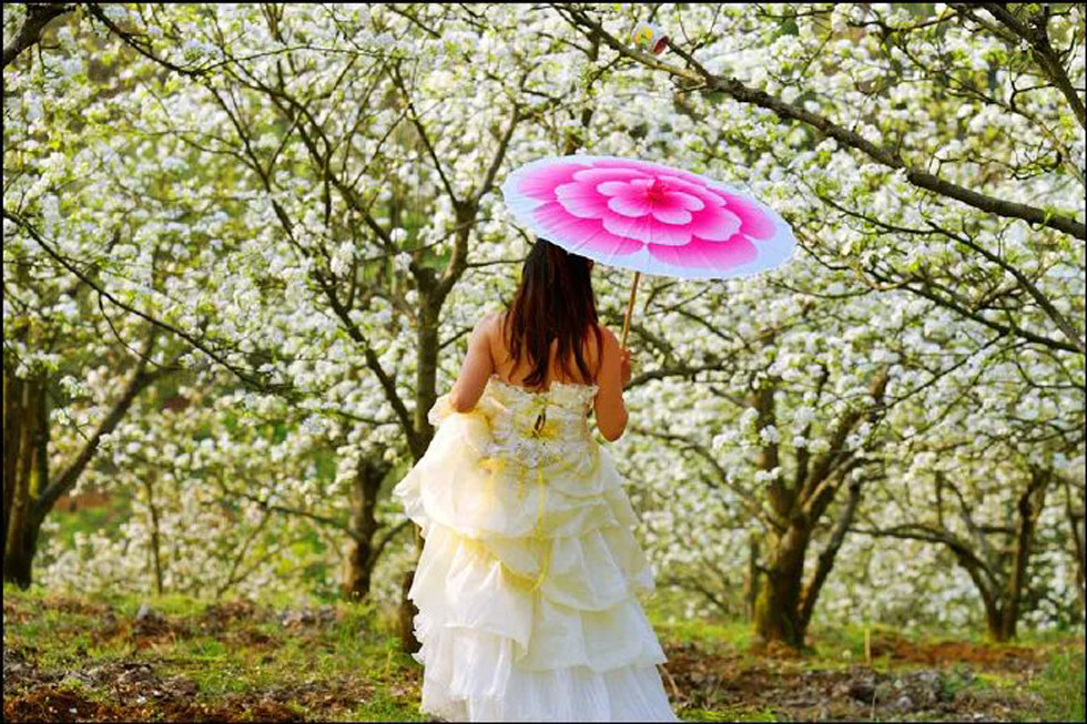 【春天,广西桂林灌阳县向您发出邀请!】我们在灌阳看梨花 - 游山玩水 - 那曲生活社区 - 那曲28生活网 nq.28life.com