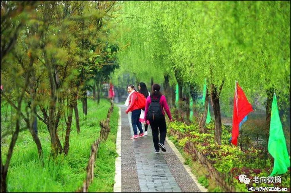 【春天,广西桂林灌阳县向您发出邀请!】江口老街又逢春 - 游山玩水 - 那曲生活社区 - 那曲28生活网 nq.28life.com