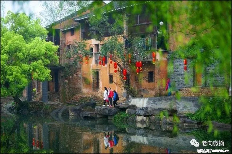 【春天,广西桂林灌阳县向您发出邀请!】江口老街又逢春 - 游山玩水 - 那曲生活社区 - 那曲28生活网 nq.28life.com