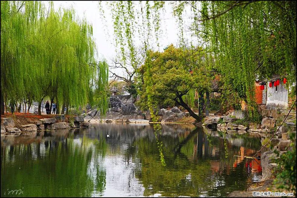 【春天,广西桂林灌阳县向您发出邀请!】江口老街又逢春 - 游山玩水 - 那曲生活社区 - 那曲28生活网 nq.28life.com