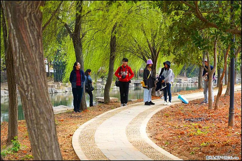 【春天,广西桂林灌阳县向您发出邀请!】江口老街又逢春 - 游山玩水 - 那曲生活社区 - 那曲28生活网 nq.28life.com