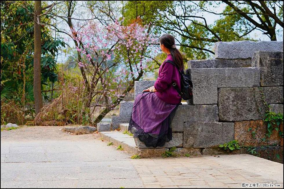 【春天,广西桂林灌阳县向您发出邀请!】江口老街又逢春 - 游山玩水 - 那曲生活社区 - 那曲28生活网 nq.28life.com