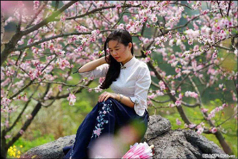 【春天,广西桂林灌阳县向您发出邀请!】望月岭上桃花开 - 游山玩水 - 那曲生活社区 - 那曲28生活网 nq.28life.com