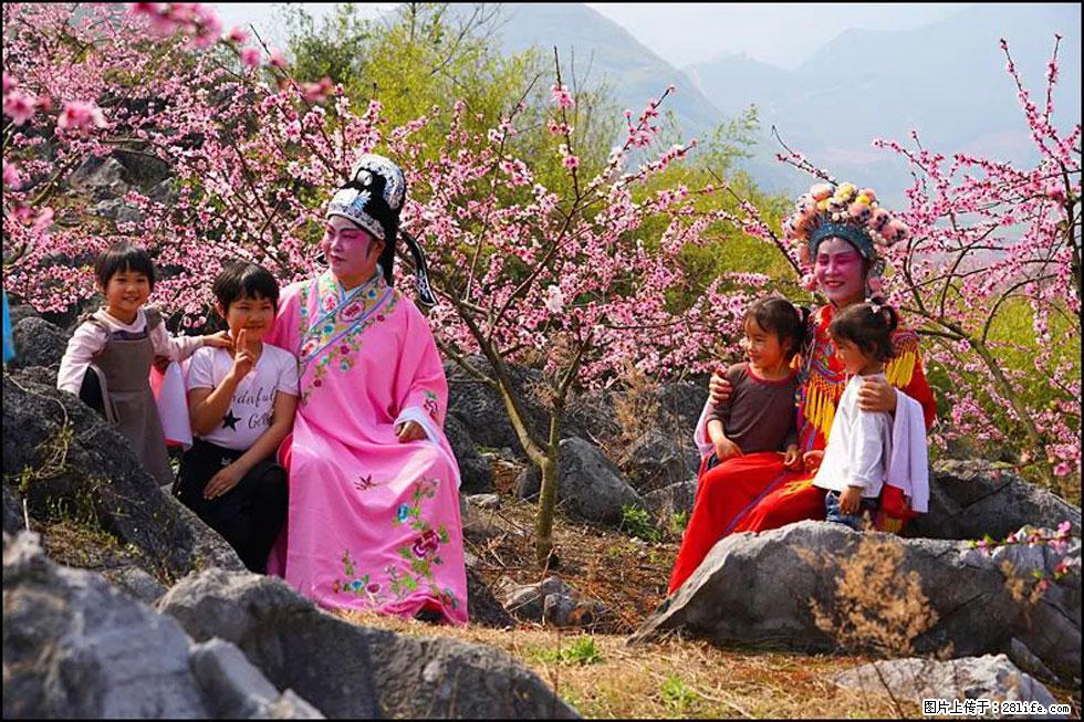 【春天,广西桂林灌阳县向您发出邀请!】望月岭上桃花开 - 游山玩水 - 那曲生活社区 - 那曲28生活网 nq.28life.com