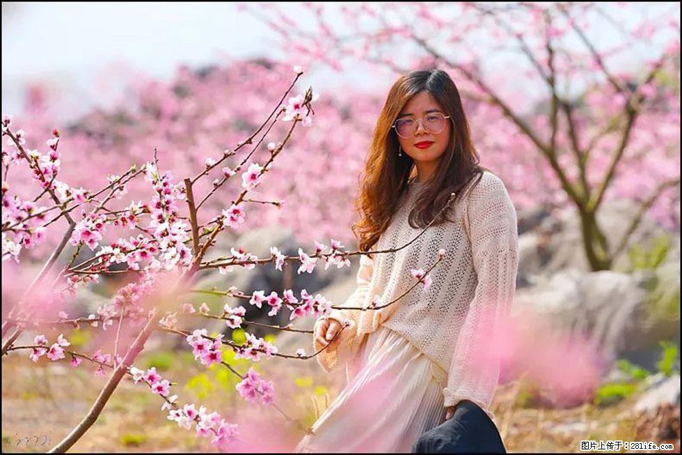 【春天,广西桂林灌阳县向您发出邀请!】望月岭上桃花开 - 游山玩水 - 那曲生活社区 - 那曲28生活网 nq.28life.com