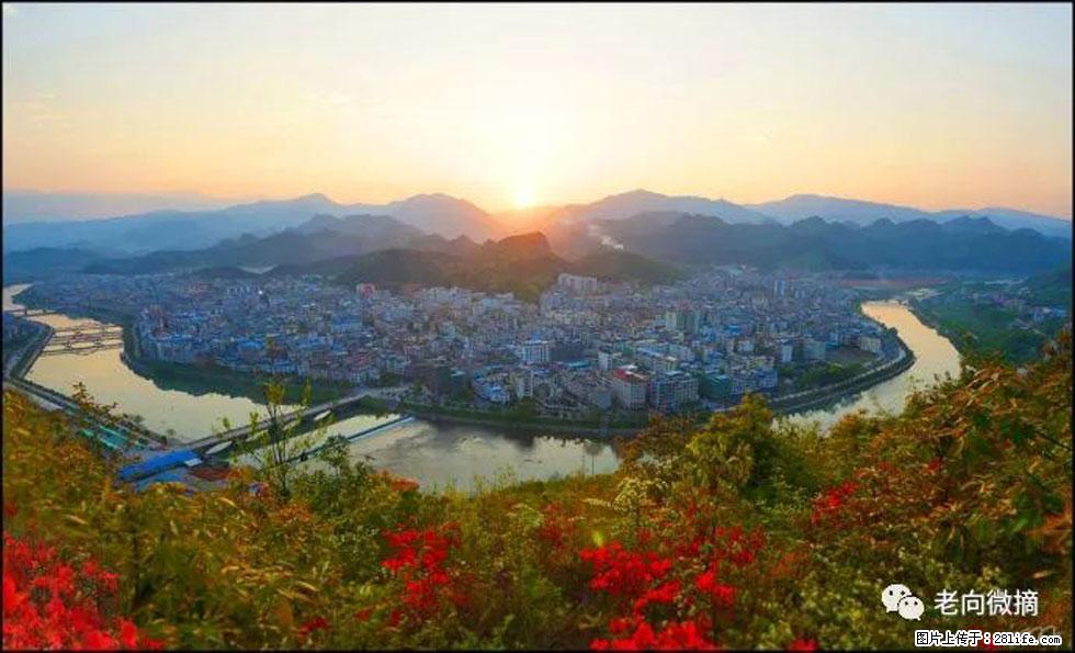 【春天,广西桂林灌阳县向您发出邀请!】登麒麟山,相约映山红 - 游山玩水 - 那曲生活社区 - 那曲28生活网 nq.28life.com