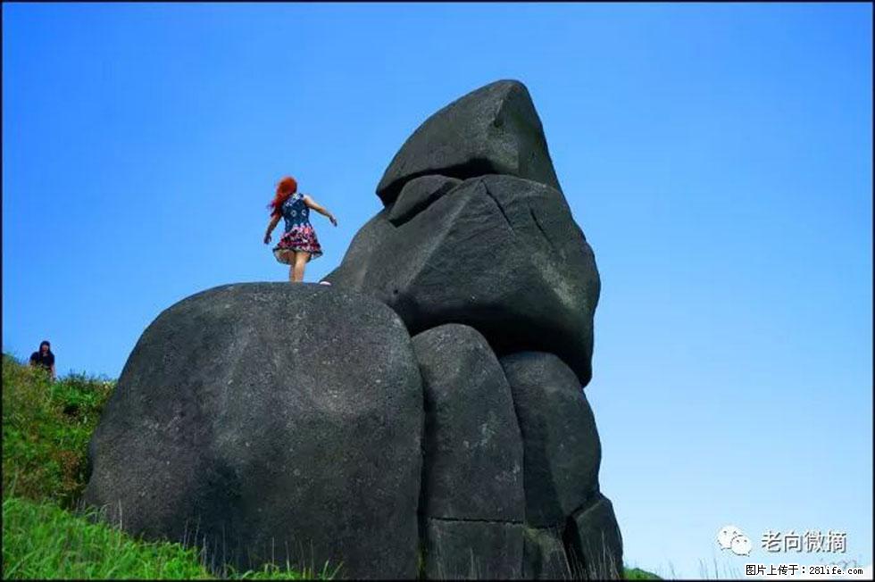 【春天,广西桂林灌阳县向您发出邀请!】宝盖山上映山红 - 游山玩水 - 那曲生活社区 - 那曲28生活网 nq.28life.com