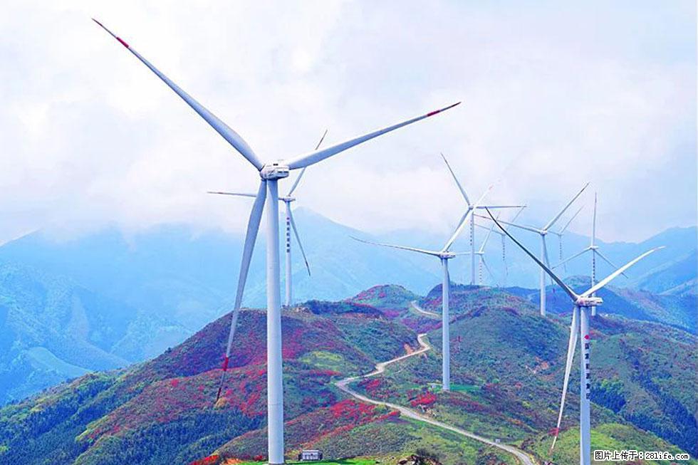 【春天,广西桂林灌阳县向您发出邀请!】春木界上映山红 - 游山玩水 - 那曲生活社区 - 那曲28生活网 nq.28life.com