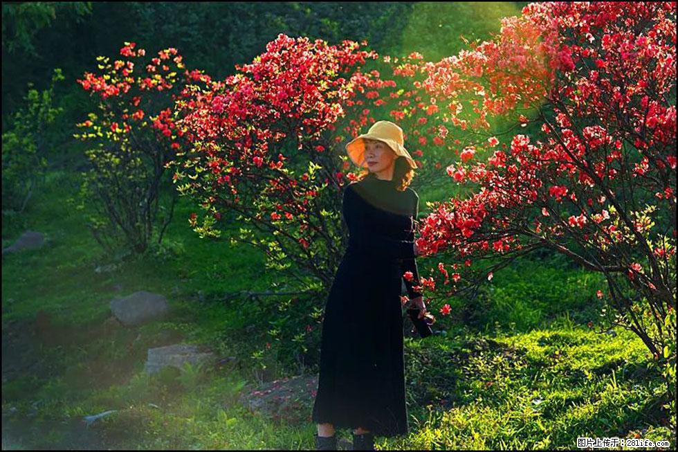 【春天,广西桂林灌阳县向您发出邀请!】春木界上映山红 - 游山玩水 - 那曲生活社区 - 那曲28生活网 nq.28life.com