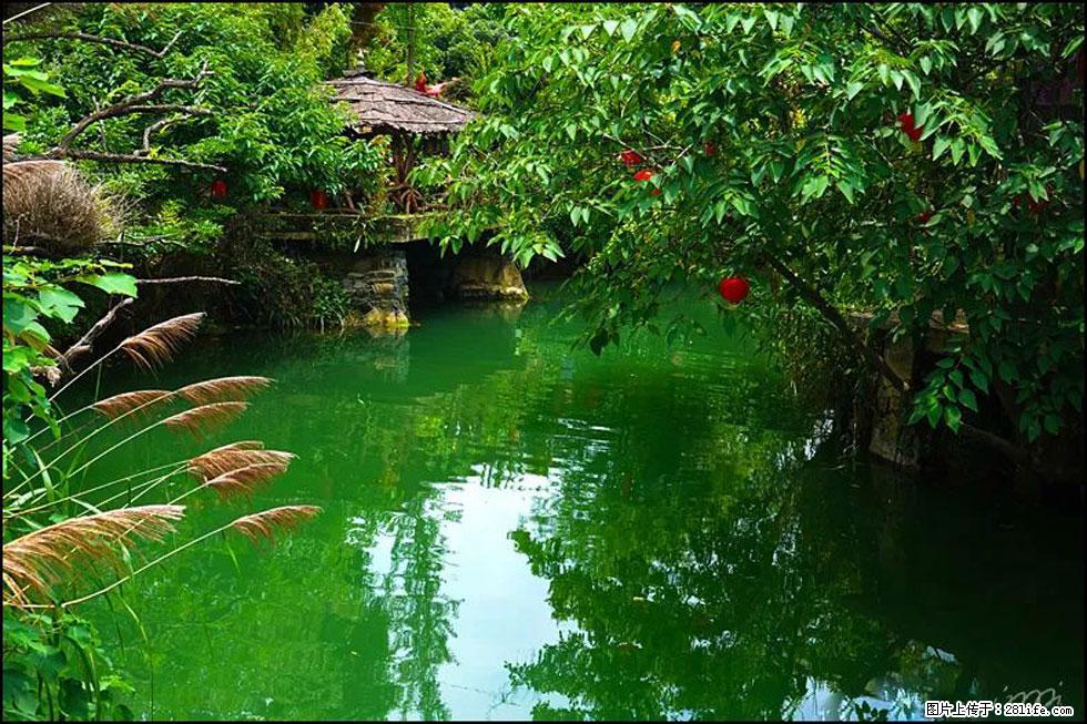 【春天,广西桂林灌阳县向您发出邀请!】如梦似幻莲溪庐 - 游山玩水 - 那曲生活社区 - 那曲28生活网 nq.28life.com