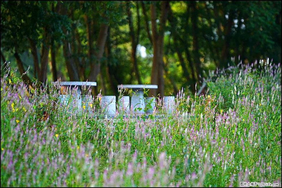 【春天,广西桂林灌阳县向您发出邀请!】熊家寨湿地公园 - 游山玩水 - 那曲生活社区 - 那曲28生活网 nq.28life.com