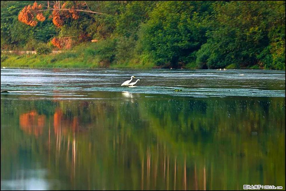 【春天,广西桂林灌阳县向您发出邀请!】熊家寨湿地公园 - 游山玩水 - 那曲生活社区 - 那曲28生活网 nq.28life.com