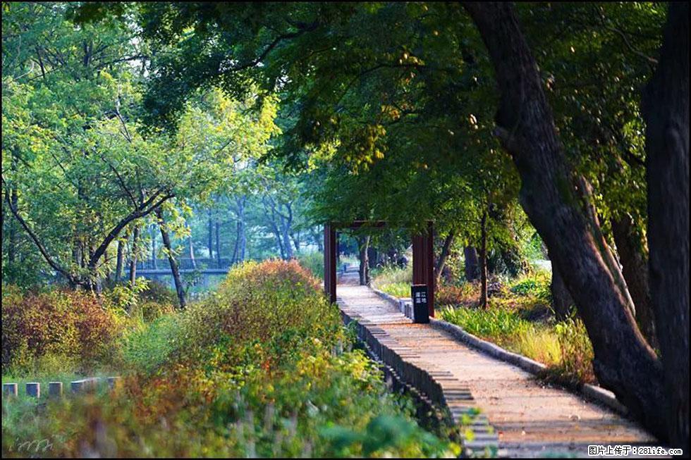 【春天,广西桂林灌阳县向您发出邀请!】熊家寨湿地公园 - 游山玩水 - 那曲生活社区 - 那曲28生活网 nq.28life.com