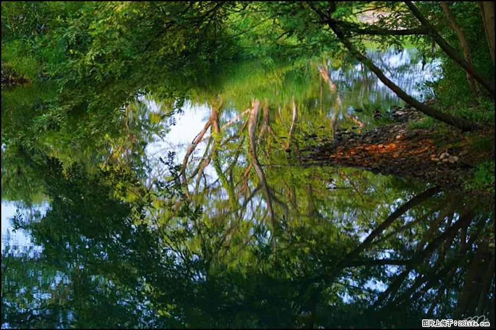 【春天,广西桂林灌阳县向您发出邀请!】熊家寨湿地公园 - 游山玩水 - 那曲生活社区 - 那曲28生活网 nq.28life.com