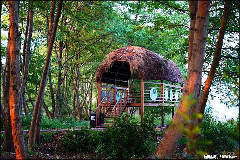 【春天,广西桂林灌阳县向您发出邀请!】熊家寨湿地公园 - 游山玩水 - 那曲生活社区 - 那曲28生活网 nq.28life.com