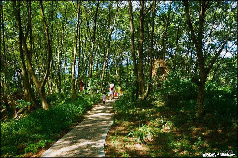 【春天,广西桂林灌阳县向您发出邀请!】熊家寨湿地公园 - 游山玩水 - 那曲生活社区 - 那曲28生活网 nq.28life.com