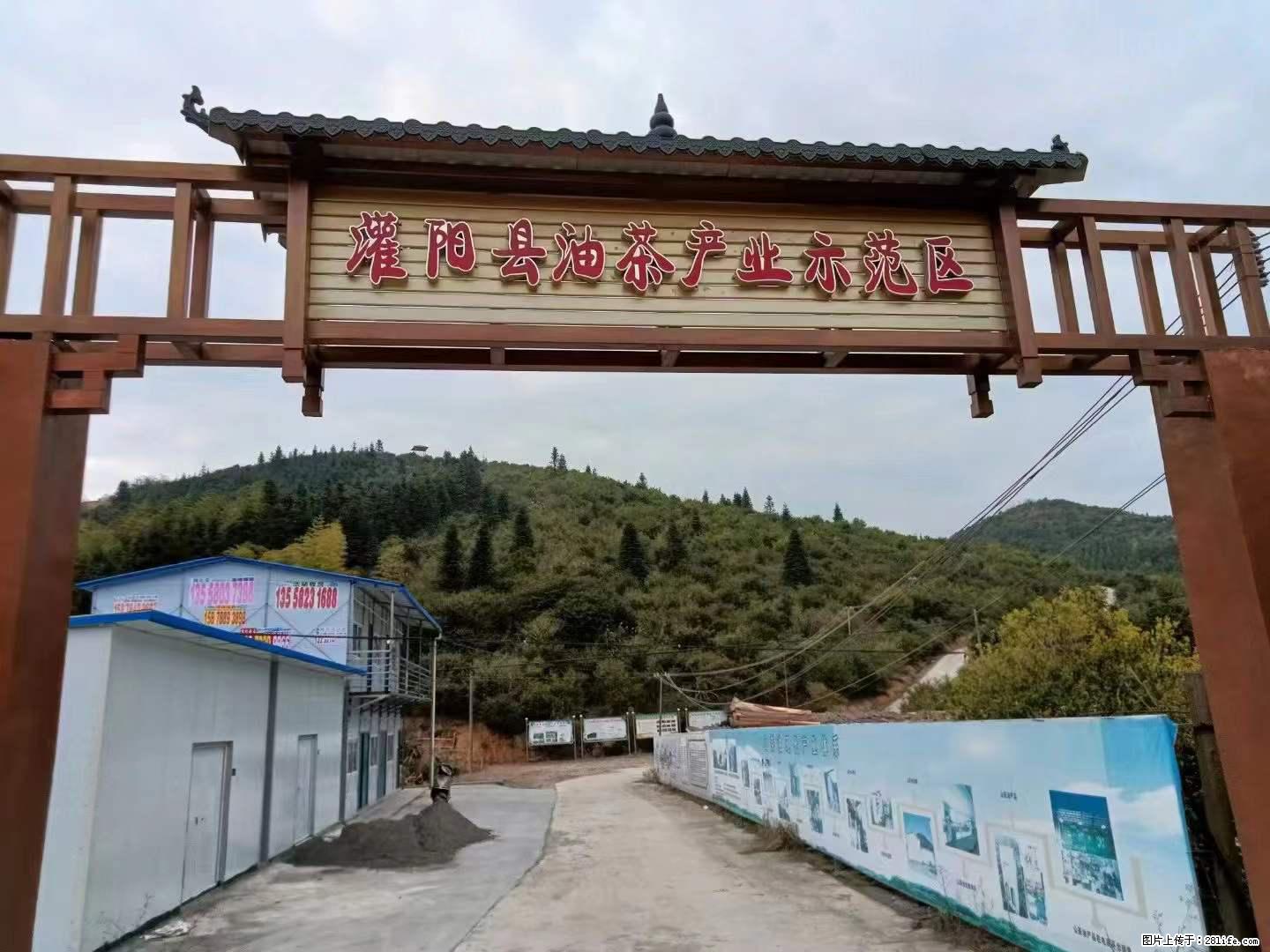 【灌阳县油茶产业示范区】一个有着充实的精神生活的人,对待身外之物自会有一种淡泊的态度 - 土特产 - 饮食特产 - 那曲分类信息 - 那曲28生活网 nq.28life.com