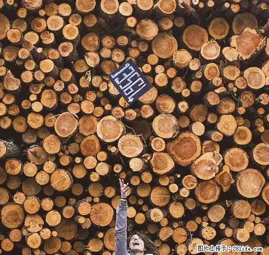 辞掉工作周游世界？现在他们在洗厕所…… - 游山玩水 - 那曲生活社区 - 那曲28生活网 nq.28life.com