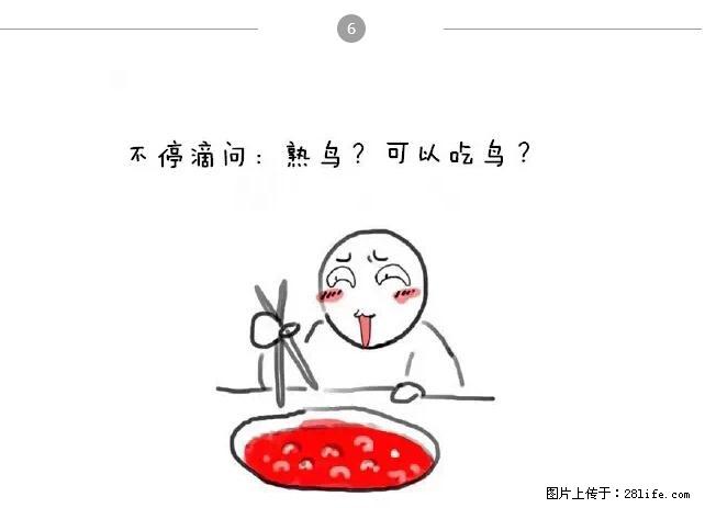 千万不要和这9种哈卵一起吃火锅！ - 美食天地 - 那曲生活社区 - 那曲28生活网 nq.28life.com