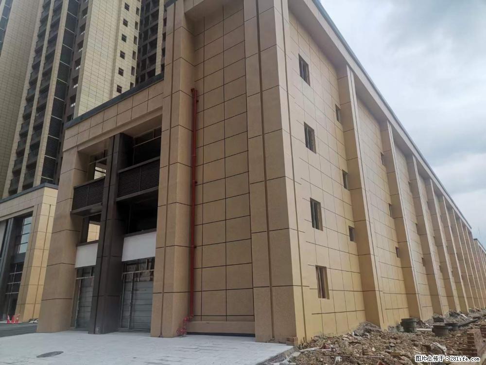 【广西三象建筑安装工程有限公司】外墙涂料工程 - 新手上路 - 那曲生活社区 - 那曲28生活网 nq.28life.com