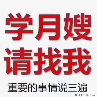【招聘】月嫂，上海徐汇区 - 那曲28生活网 nq.28life.com