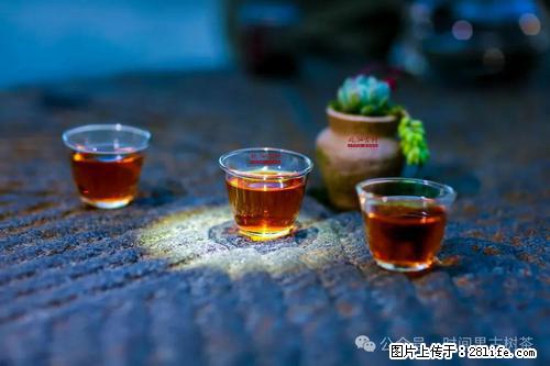 时间果百年古树2025年春红茶 - 购物交流 - 那曲生活社区 - 那曲28生活网 nq.28life.com