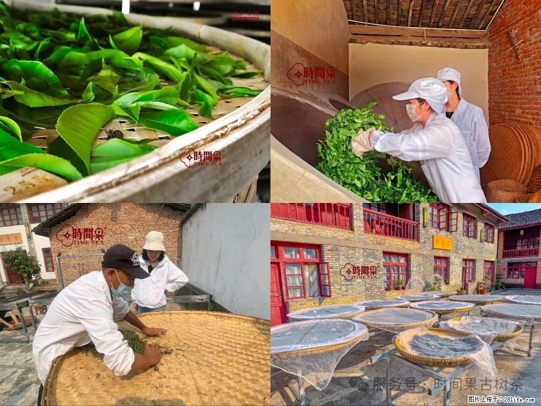 时间果百年古树龙珠普洱生茶 - 购物交流 - 那曲生活社区 - 那曲28生活网 nq.28life.com