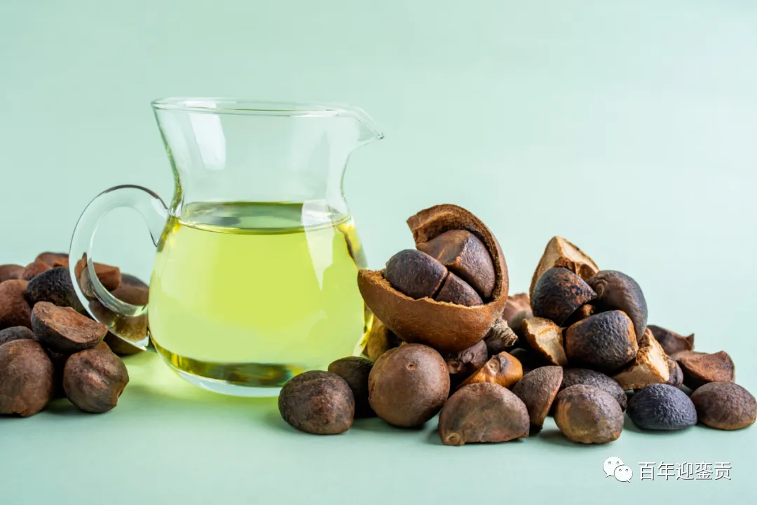 世界没有真相,只有认知,最好的食用油是中国的山茶油! - 那曲生活资讯 - 那曲28生活网 nq.28life.com