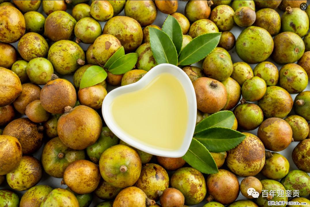 世界没有真相,只有认知,最好的食用油是中国的山茶油! - 那曲生活资讯 - 那曲28生活网 nq.28life.com