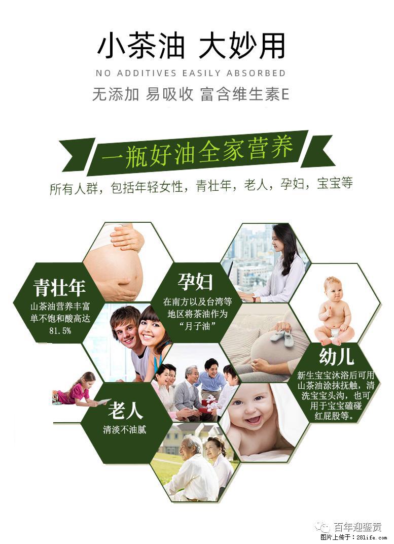 世界没有真相,只有认知,最好的食用油是中国的山茶油! - 那曲生活资讯 - 那曲28生活网 nq.28life.com