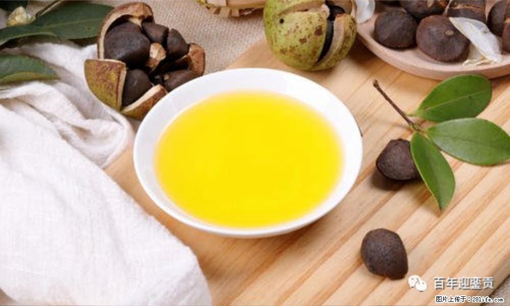 世界没有真相,只有认知,最好的食用油是中国的山茶油! - 那曲生活资讯 - 那曲28生活网 nq.28life.com