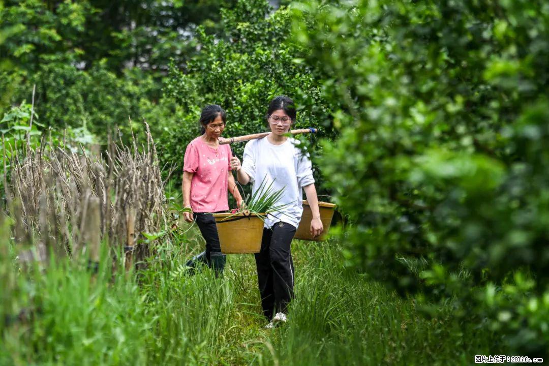 全网追的“扁担女孩”，找了一份暑假工，时薪12元 - 那曲生活资讯 - 那曲28生活网 nq.28life.com