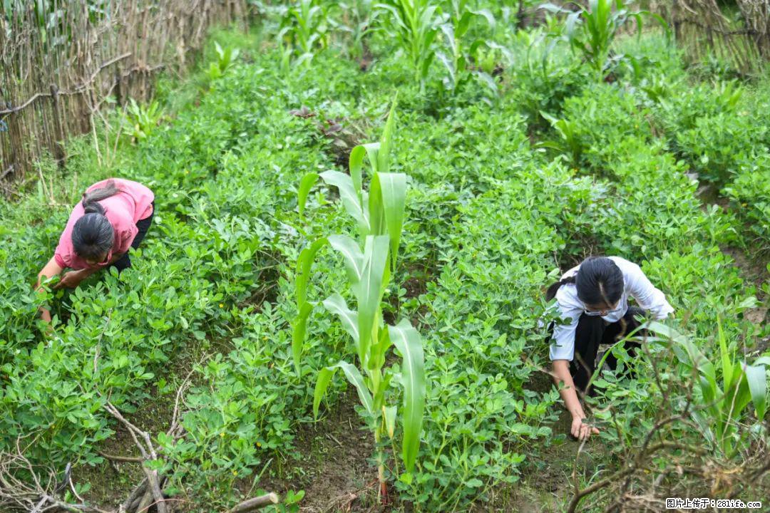 全网追的“扁担女孩”，找了一份暑假工，时薪12元 - 那曲生活资讯 - 那曲28生活网 nq.28life.com