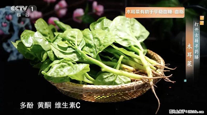 比牛奶补钙还厉害!凉血解毒、稳血糖...这菜冬天必吃,很多人却当草 - 那曲生活资讯 - 那曲28生活网 nq.28life.com