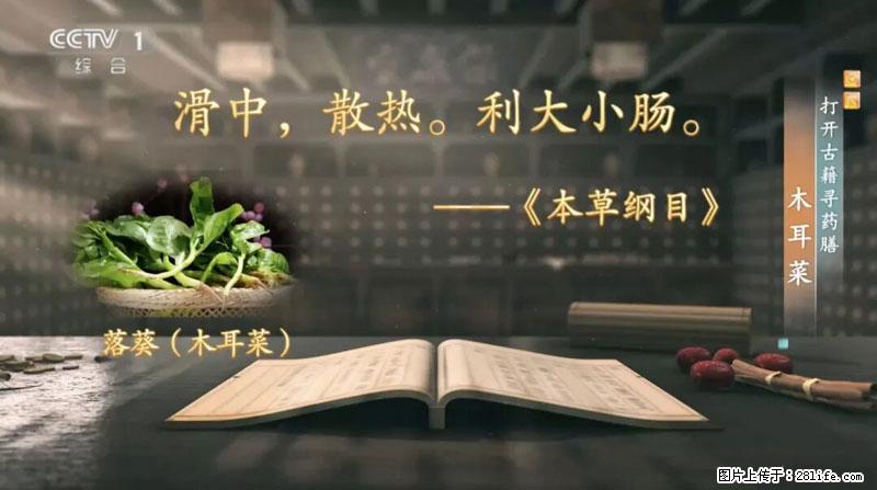 比牛奶补钙还厉害!凉血解毒、稳血糖...这菜冬天必吃,很多人却当草 - 那曲生活资讯 - 那曲28生活网 nq.28life.com