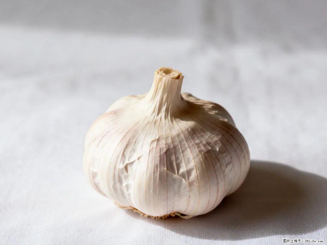 关于大蒜,除了“天然抗生素”,这4个谣言更该警惕! - 那曲生活资讯 - 那曲28生活网 nq.28life.com
