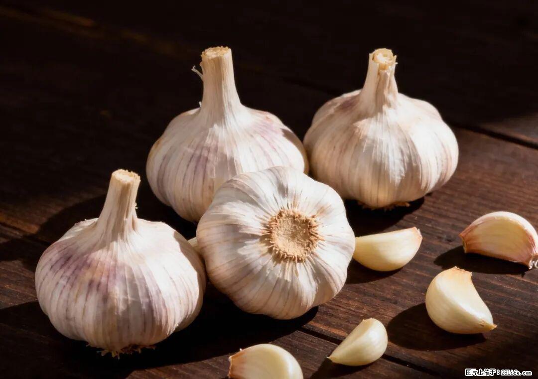 关于大蒜,除了“天然抗生素”,这4个谣言更该警惕! - 那曲生活资讯 - 那曲28生活网 nq.28life.com